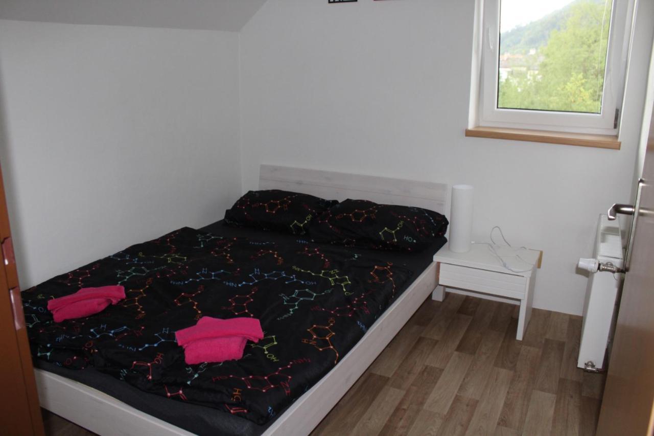 Apartment Rapotin, Jesenicka 296, 3km Od Termalniho Parku Velke Losiny Rapotin